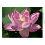 Pink Lotus Flower IV Card
