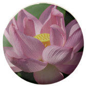 Pink Lotus Flower IV Chocolate Covered Oreo (Front)