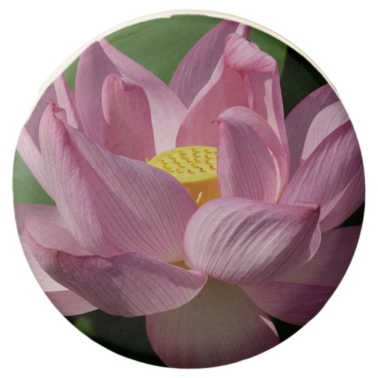 Pink Lotus Flower IV Chocolate Covered Oreo (Front)