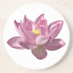 Pink Lotus Flower IV Coaster