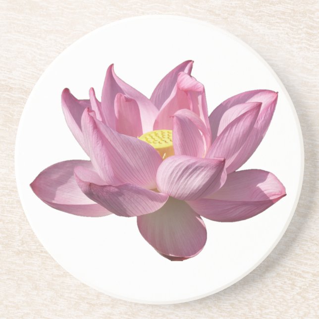 Pink Lotus Flower IV Coaster (Front)