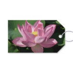 Pink Lotus Flower IV Gift Tags