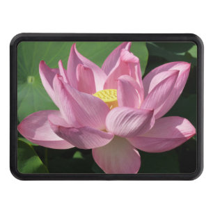 Pink Lotus Flower IV Hitch Cover