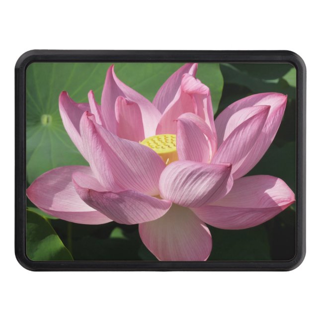 Pink Lotus Flower IV Hitch Cover (Front)