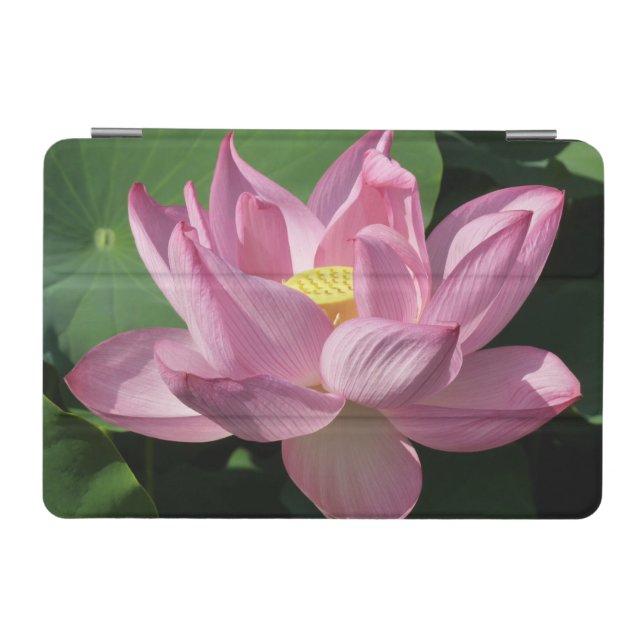 Pink Lotus Flower IV iPad Mini Cover (Horizontal)