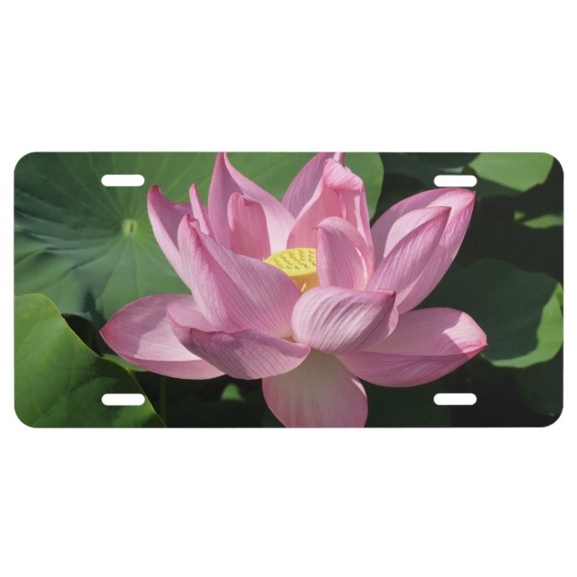Pink Lotus Flower IV License Plate (Front)