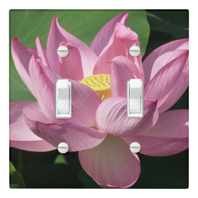 Pink Lotus Flower IV Light Switch Cover (In Situ)