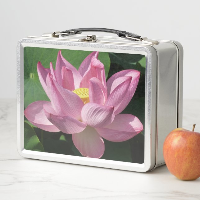Pink Lotus Flower IV Metal Lunch Box (In Situ)