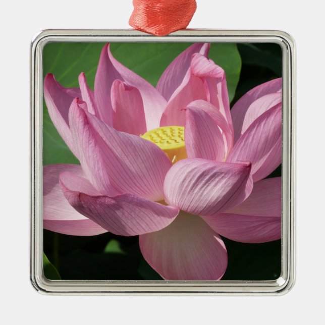 Pink Lotus Flower IV Metal Ornament (Front)