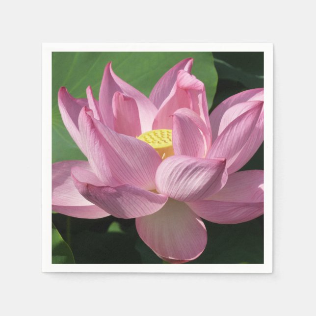 Pink Lotus Flower IV Paper Napkins (Front)