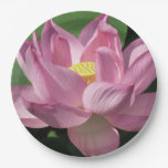 Pink Lotus Flower IV Paper Plates