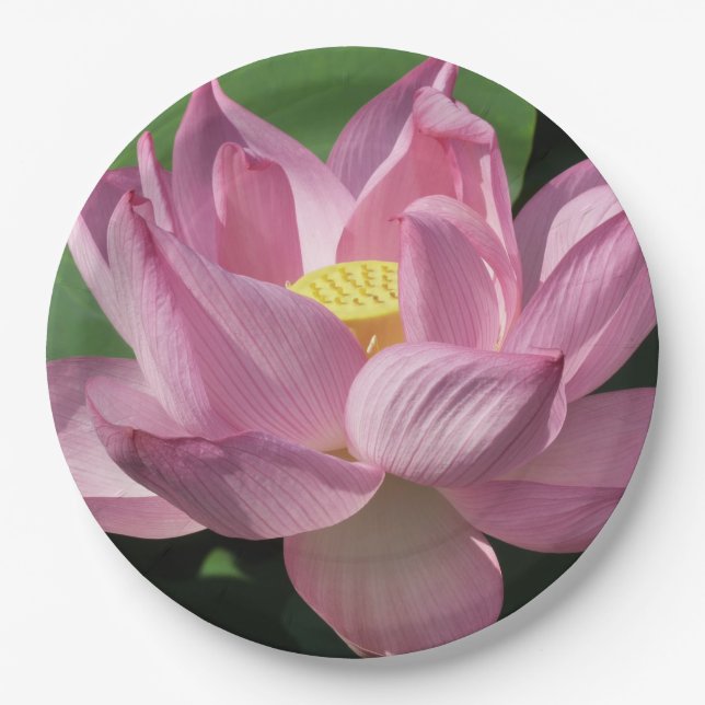 Pink Lotus Flower IV Paper Plates (Front)