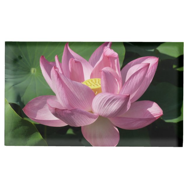 Pink Lotus Flower IV Place Card Holder (Front)