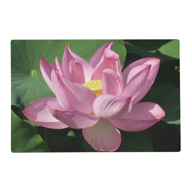 Pink Lotus Flower IV Placemat (Front)