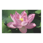 Pink Lotus Flower IV Rectangular Sticker