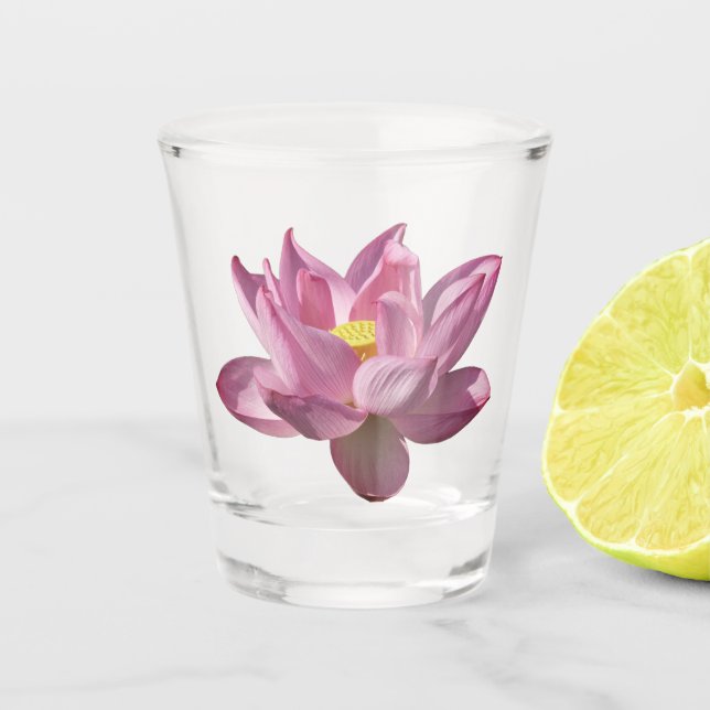 Pink Lotus Flower IV Shot Glass (Front)