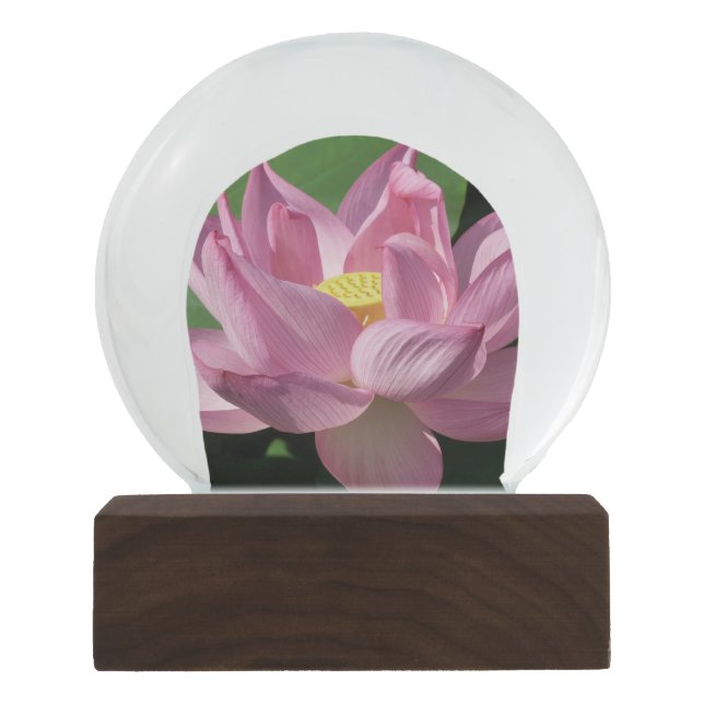 Pink Lotus Flower IV Snow Globe (Front)