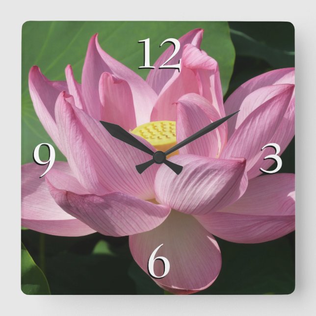 Pink Lotus Flower IV Square Wall Clock (Front)