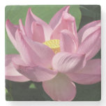 Pink Lotus Flower IV Stone Coaster
