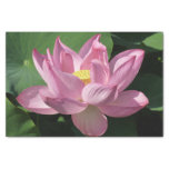 Pink Lotus Flower IV Tissue Paper