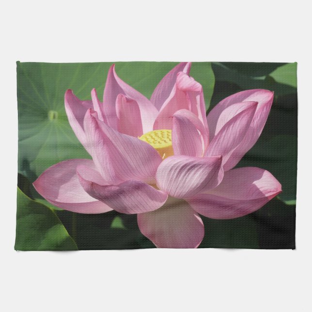 Pink Lotus Flower IV Towel (Horizontal)