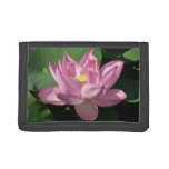 Pink Lotus Flower IV Trifold Wallet