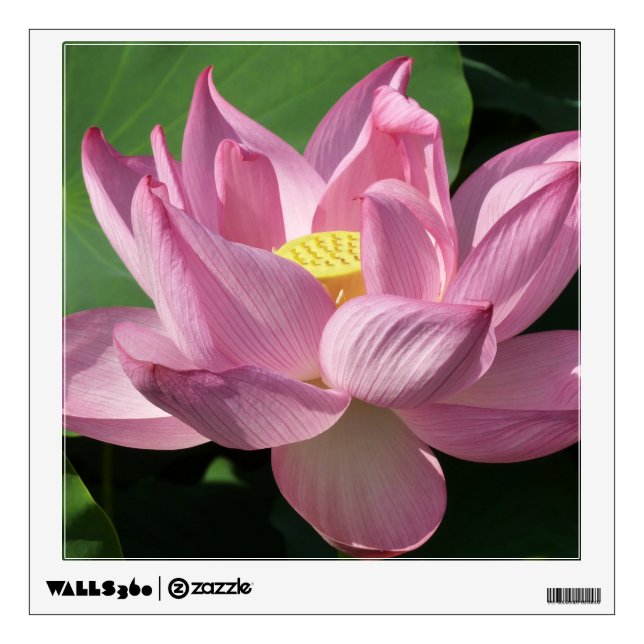 Pink Lotus Flower IV Wall Decal (Front)