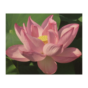 Pink Lotus Flower IV Wood Wall Decor