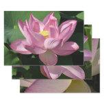 Pink Lotus Flower IV Wrapping Paper Sheets