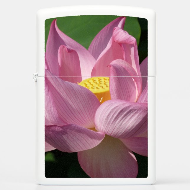 Pink Lotus Flower IV Zippo Lighter (Front)