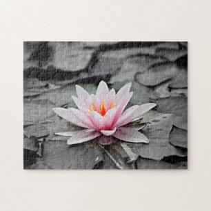 Pink Lotus Flower Jigsaw Puzzle