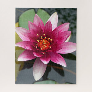 Pink Lotus Flower Jigsaw Puzzle
