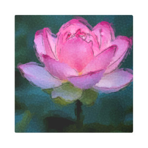 Pink Lotus Flower Metal Print