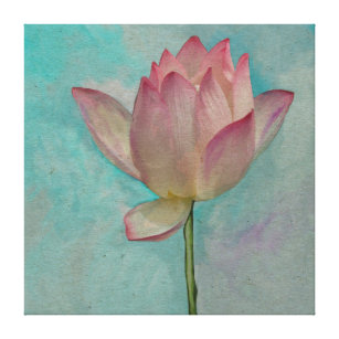 Lotus watercolor Canvas Print