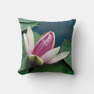 Pink Lotus Flower Photo Cushion 41 cm x 41 cm