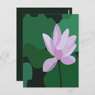 Pink Lotus Flower Postcard