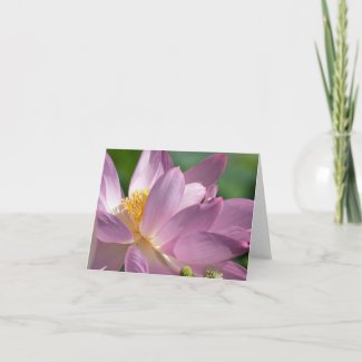 Pink Lotus Flower - Small Folded Note Card