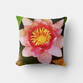 Pink Lotus Flower 