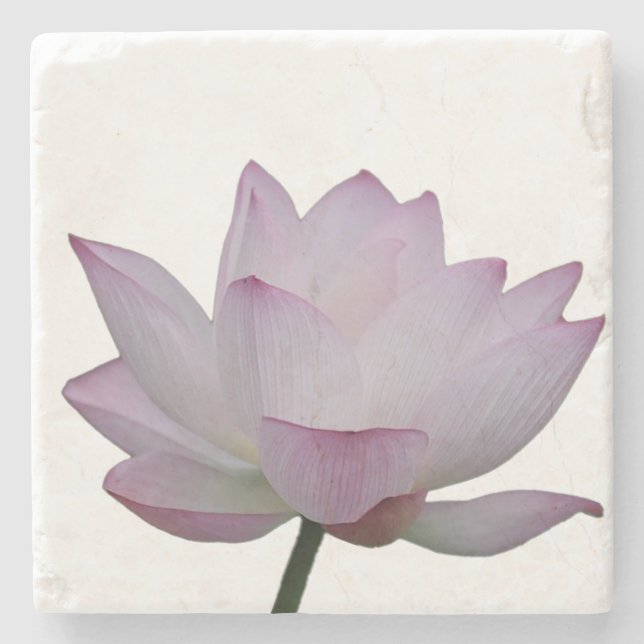 pink lotus flower wedding  stone coaster (Front)