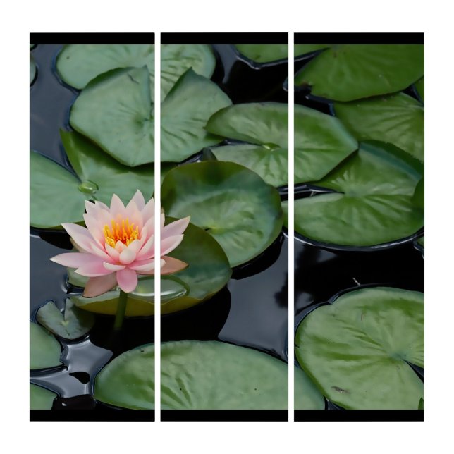 Pink Lotus Flower Zen Garden  Triptych (Front)