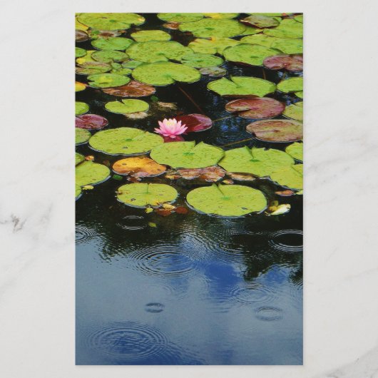 Pink lotus in Rain (Front)