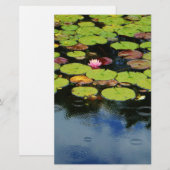 Pink lotus in Rain (Front/Back)