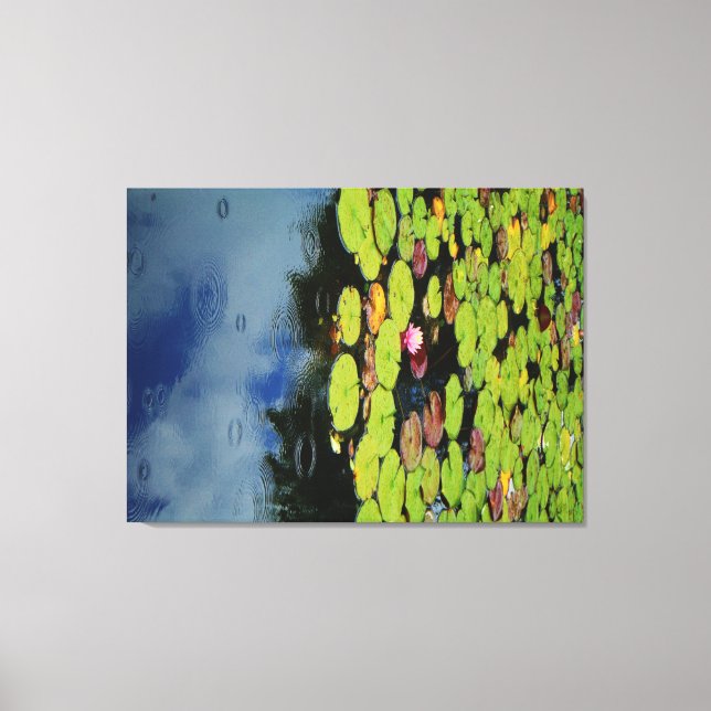 Pink lotus in Rain Canvas Print (Front)