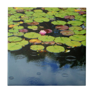 Pink lotus in Rain Ceramic Tile