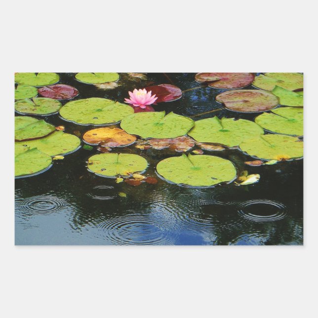 Pink lotus in Rain Rectangular Sticker (Front)