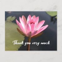 Pink  lotus in the pond  thank you card