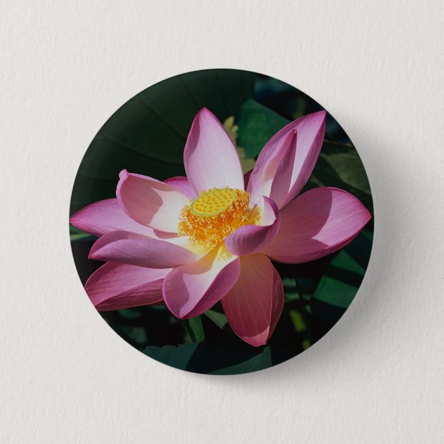 Pink Lotus Pinback Button (Front)