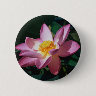 Pink Lotus Pinback Button