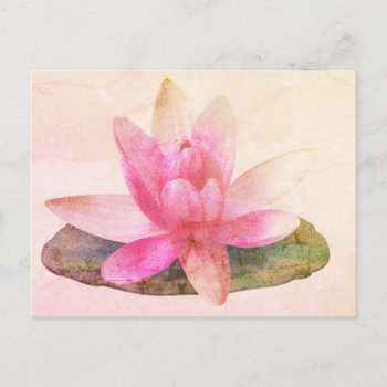 Pink Lotus Postcard by TINYLOTUS at Zazzle