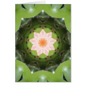 Pink Lotus Refraction (Front)